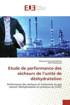 Etude de performance des sécheurs de l'unité de déshydratation 