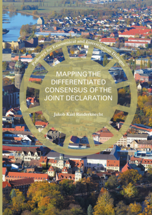 Mapping the Differentiated Consensus of the Joint Declaration 