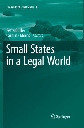 Small States in a Legal World 