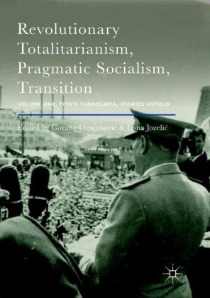 Revolutionary Totalitarianism, Pragmatic Socialism, Transition 