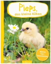 kein Cover