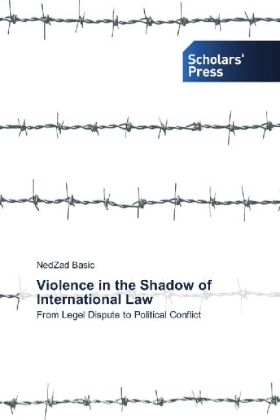 Violence in the Shadow of International Law 