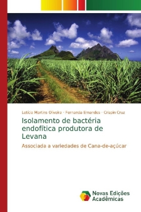 Isolamento de bactéria endofítica produtora de Levana 
