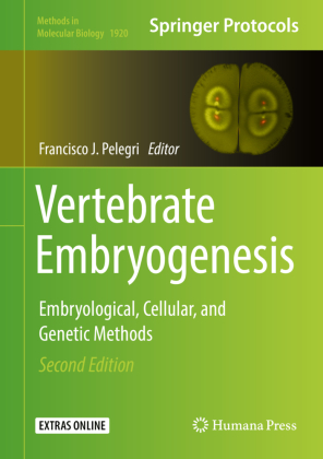 Vertebrate Embryogenesis 