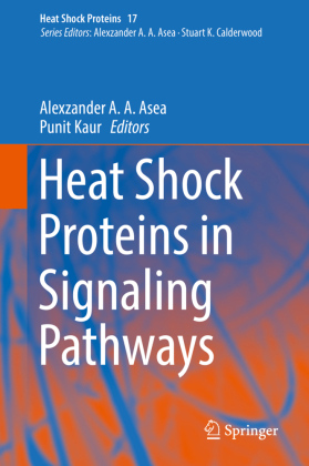 Heat Shock Proteins in Signaling Pathways 