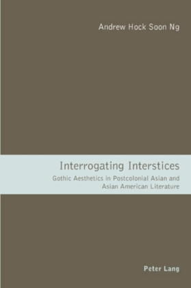 Interrogating Interstices 