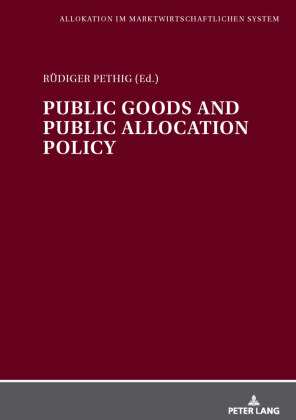Public Goods and Public Allocation Policy 