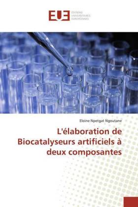 L'élaboration de Biocatalyseurs artificiels à deux composantes 