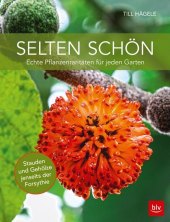 kein Cover