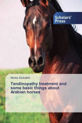 Tendinopathy treatment and some basic things about Arabian horses 