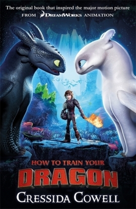 How to Train Your Dragon, Film Tie in