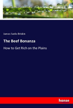 The Beef Bonanza 