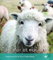 kein Cover