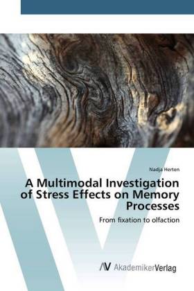 A Multimodal Investigation of Stress Effects on Memory Processes 