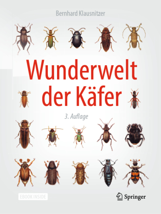 Wunderwelt der Käfer, m. 1 Buch, m. 1 E-Book