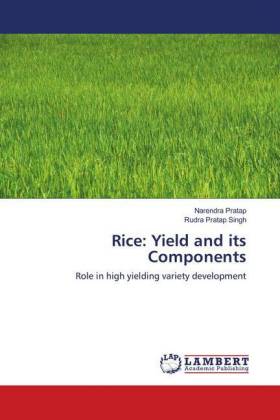Rice: Yield and its Components 