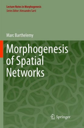 Morphogenesis of Spatial Networks 