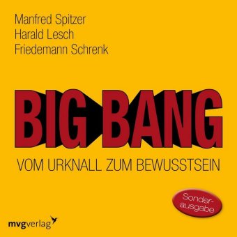 Big Bang: Vom Urknall zum Bewusstsein, 1 Audio-CD 