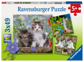 Ravensburger Kinderpuzzle - 08046 Süße Samtpfötchen - Puzzle für Kinder ab 5 Jahren, mit 3x49 Teilen
