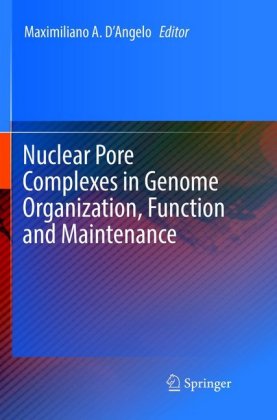 Nuclear Pore Complexes in Genome Organization, Function and Maintenance 
