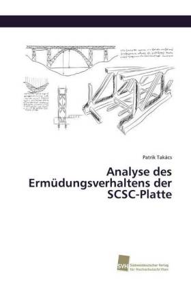 Analyse des Ermüdungsverhaltens der SCSC-Platte 