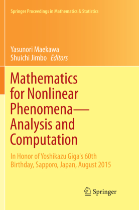 Mathematics for Nonlinear Phenomena - Analysis and Computation 