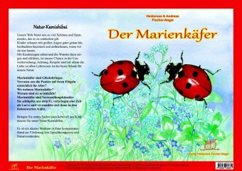 Natur-Kamishibai - Der Marienkäfer