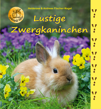 Lustige Zwergkaninchen 