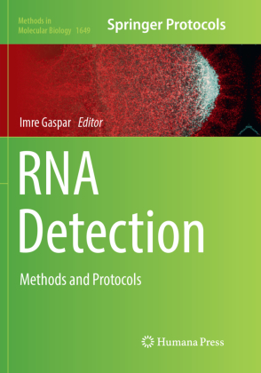 RNA Detection 