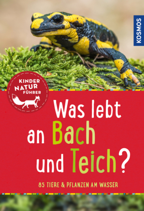 Was lebt an Bach und Teich? 