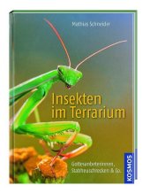 kein Cover