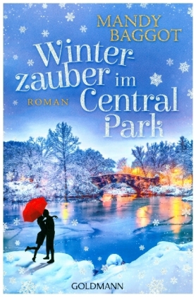 Winterzauber im Central Park