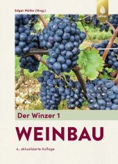 Weinbau