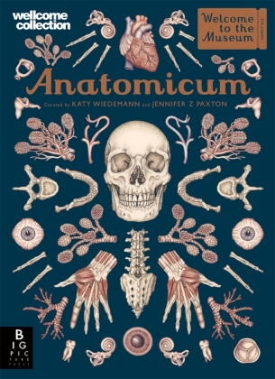 Anatomicum 