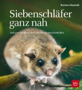 kein Cover