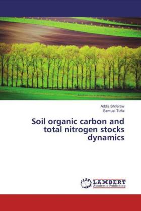 Soil organic carbon and total nitrogen stocks dynamics 