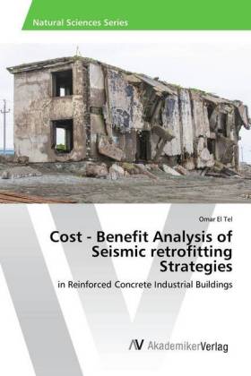 Cost - Benefit Analysis of Seismic retrofitting Strategies 