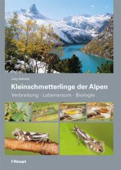 kein Cover