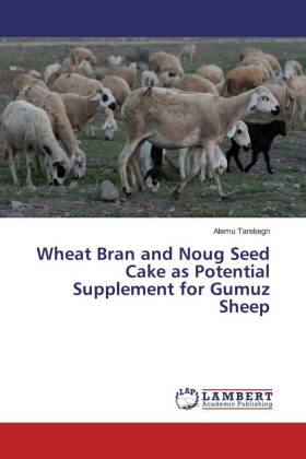 Wheat Bran and Noug Seed Cake as Potential Supplement for Gumuz Sheep 