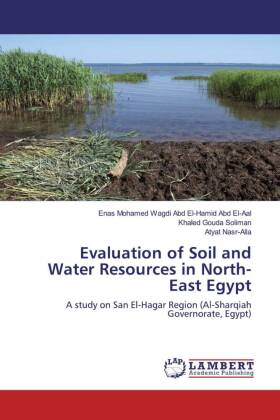 Evaluation of Soil and Water Resources in North-East Egypt 