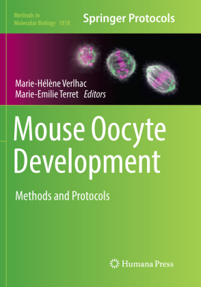 Mouse Oocyte Development 