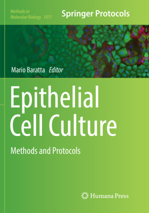 Epithelial Cell Culture 