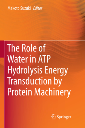 The Role of Water in ATP Hydrolysis Energy Transduction by Protein Machinery 