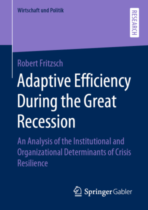 Adaptive Efficiency During the Great Recession 