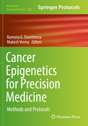 Cancer Epigenetics for Precision Medicine 