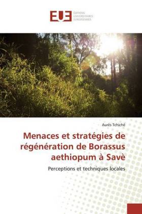 Menaces et stratégies de régénération de Borassus aethiopum à Savè 