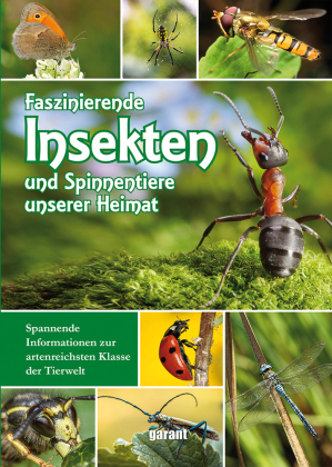 Faszinierende Insekten und Spinnentiere unserer Heimat