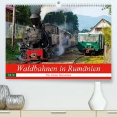 Waldbahnen in Rumänien - Die letzten Mocanitas (Premium, hochwertiger DIN A2 Wandkalender 2020, Kunstdruck in Hochglanz)
