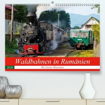 Waldbahnen in Rumänien - Die letzten Mocanitas (Premium, hochwertiger DIN A2 Wandkalender 2020, Kunstdruck in Hochglanz)