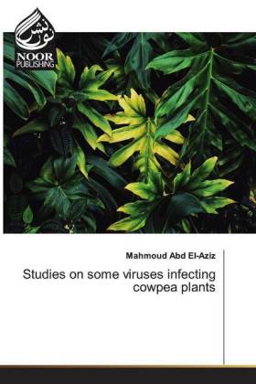 Studies on some viruses infecting cowpea plants 